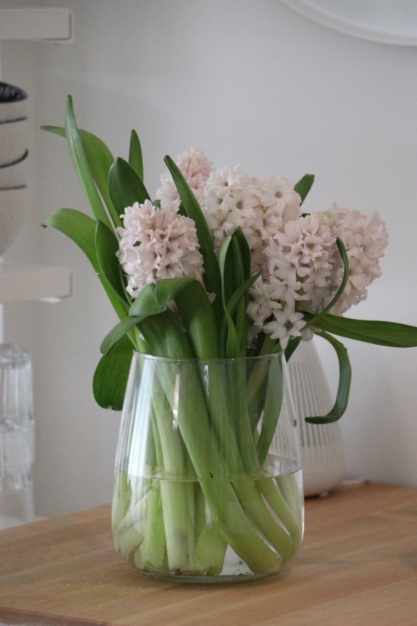 Cavalli'S Cottage Bilthoven Ngoại thất bức ảnh